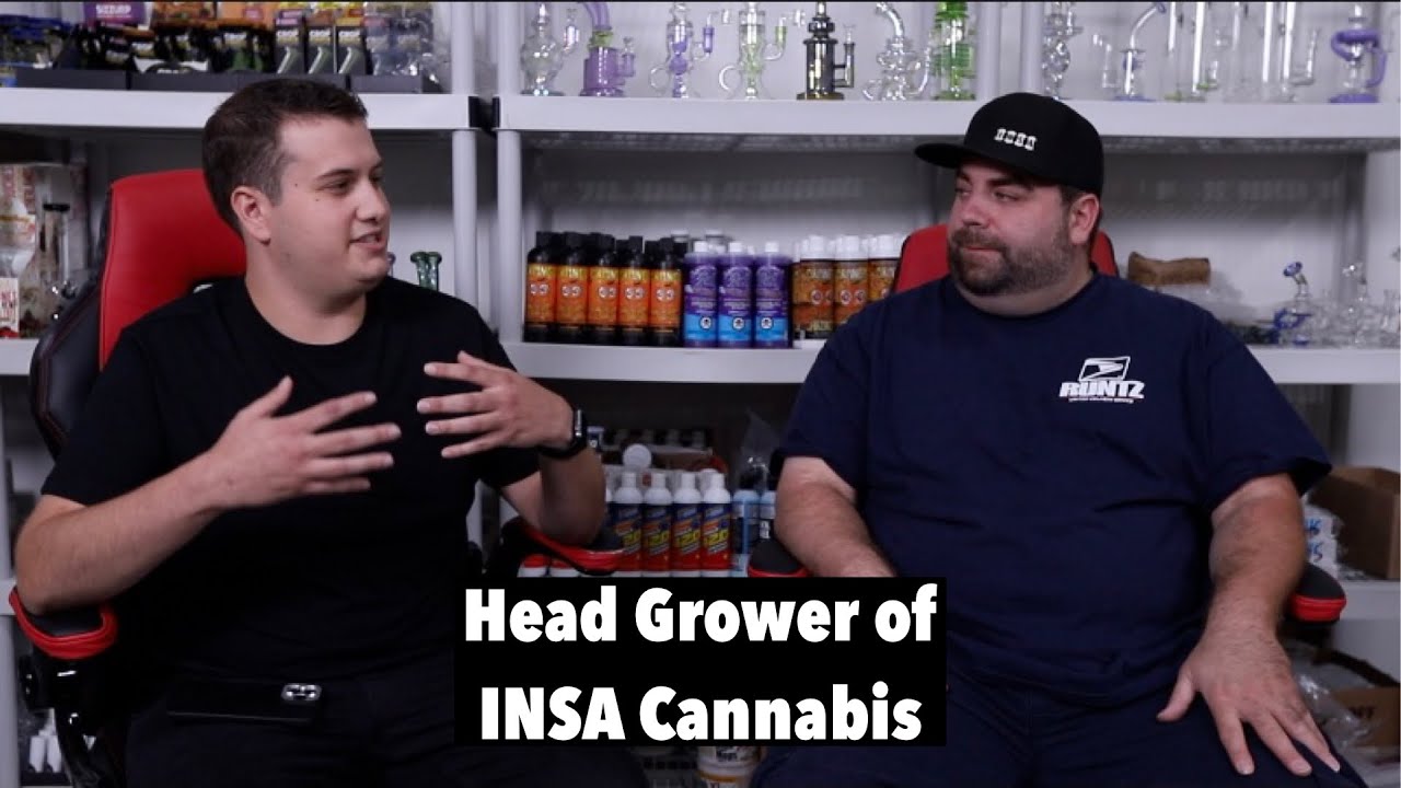 Interview with the head grower of INSA Cannabis (Kevin Sparks)