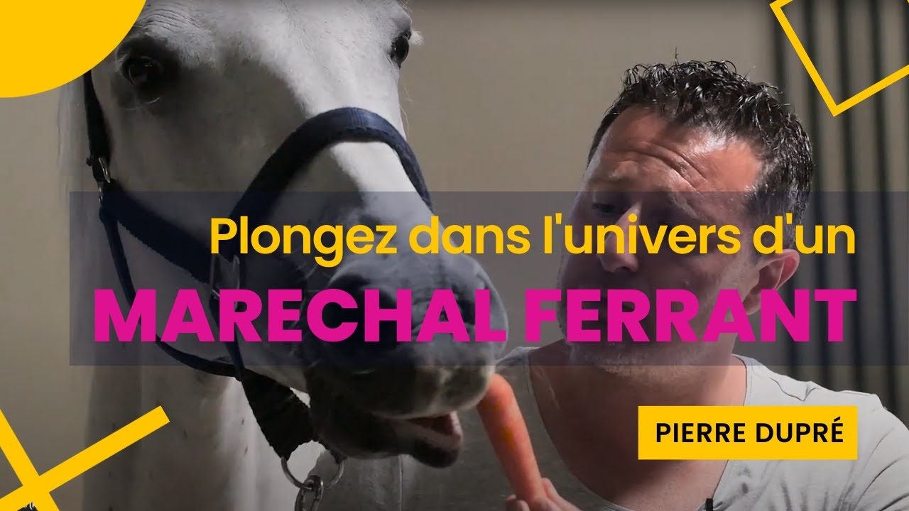 PLONGEZ DANS L'UNIVERS D'UN MARECHAL FERRANT !!!