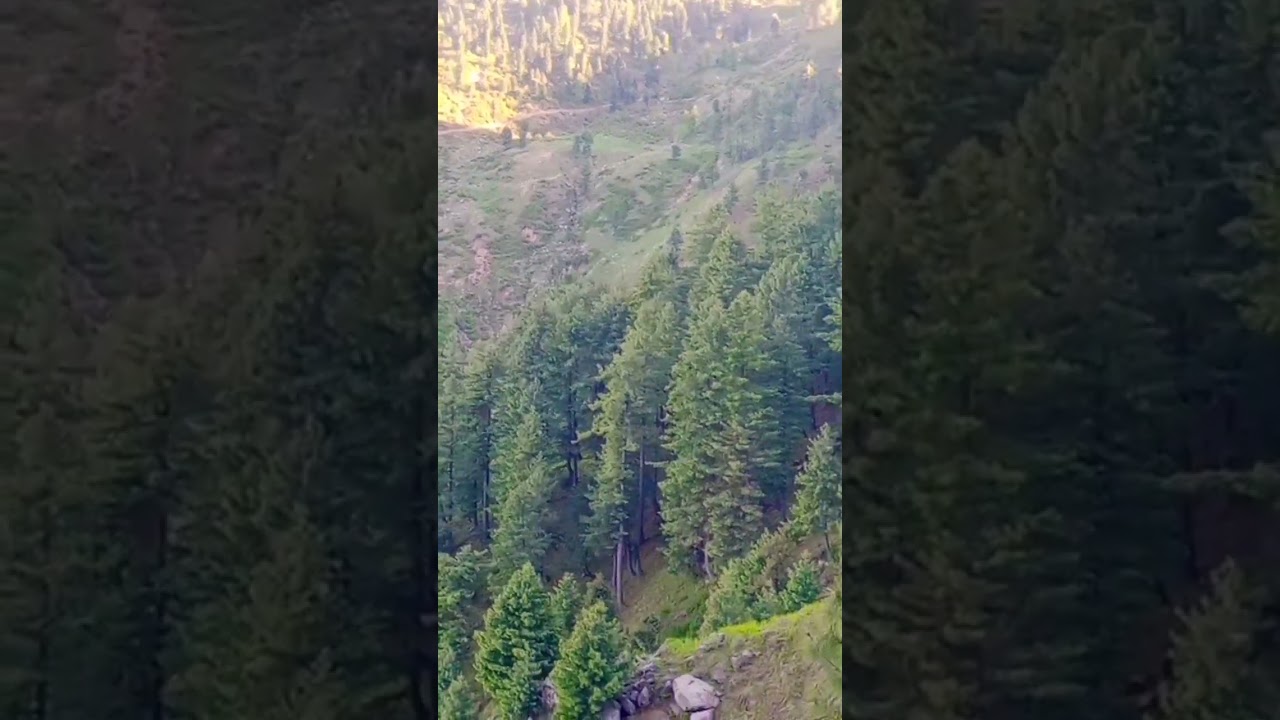 mountain natural besuty🌹#shorts #viralvideo #youtubeshorts #video #youtube