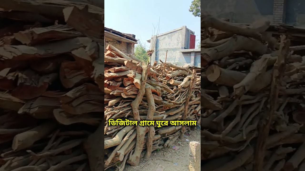 ডিজিটাল গ্রামে সবগুলো বাড়ি দেয়ালের কিন্তু রাস্তাঘাট মাটির‼️🏨🏫 Mitali Agro