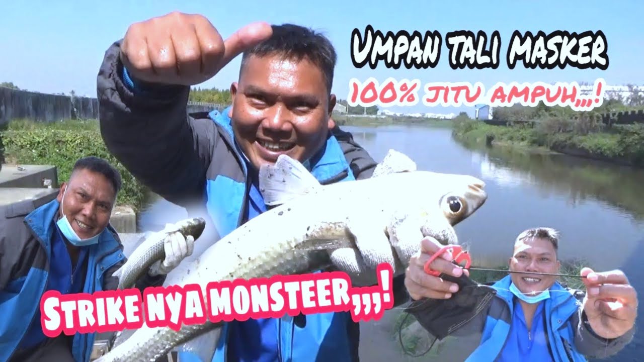 Cara jitu Mancing Ikan Belanak Pake Umpan Tali Masker Hitam Bekas