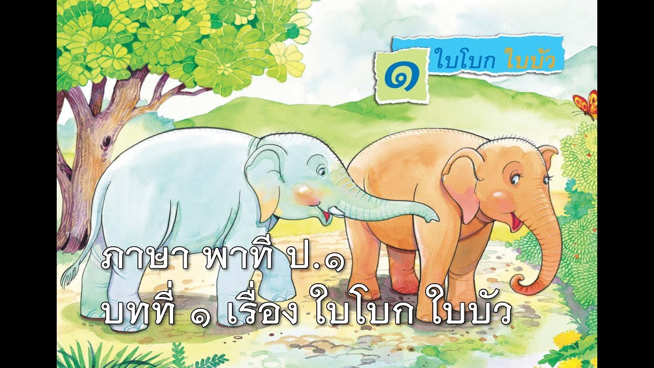 ภาษา พาที ป.1 บทที่ 1 เรื่อง ใบโบก ใบบัว