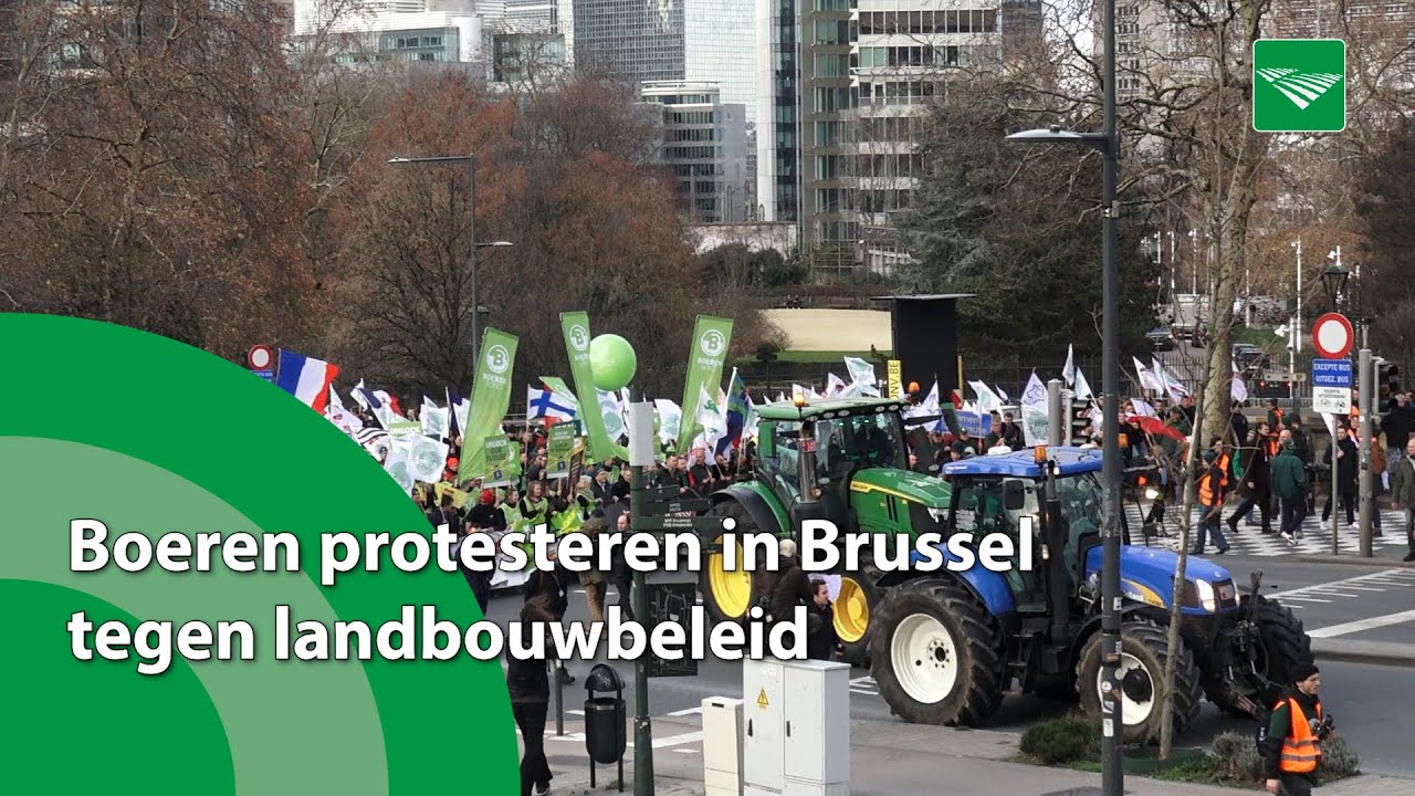 Boeren protesteren in Brussel tegen landbouwbeleid
