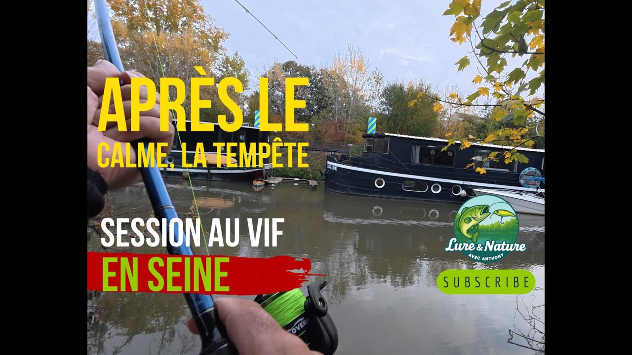 Silures au vif pater noster VS pater noster au coulissant !