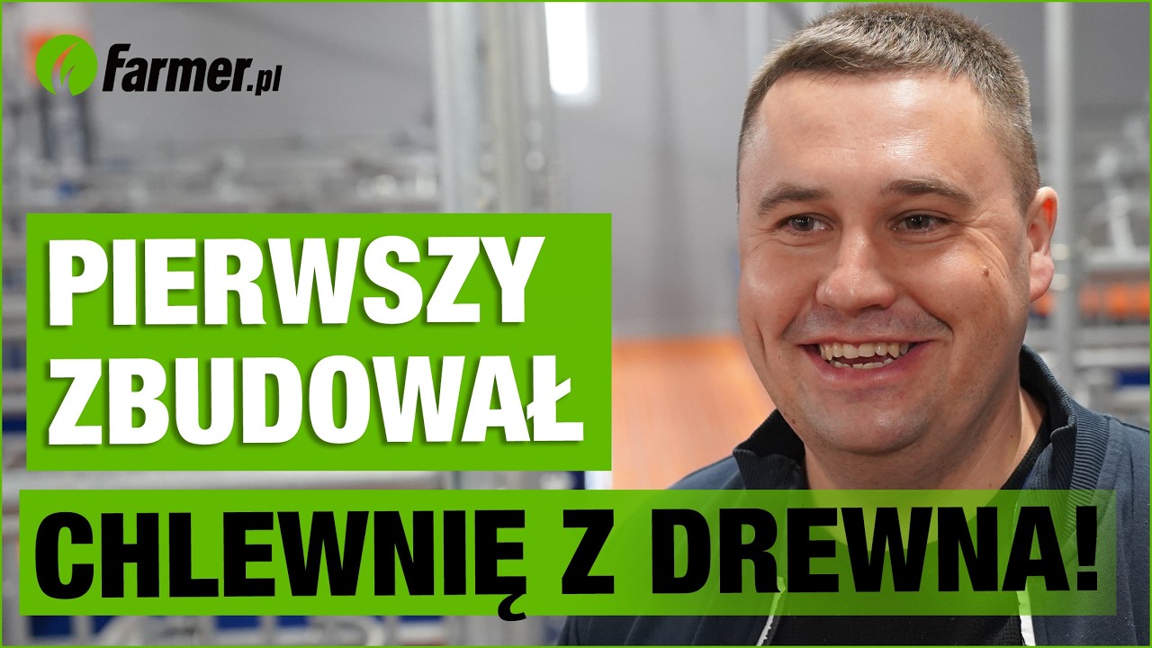 Pierwszy w Polscy zbudował drewnianą chlewnię! Zobacz zalety, wyposażenie i wykonanie