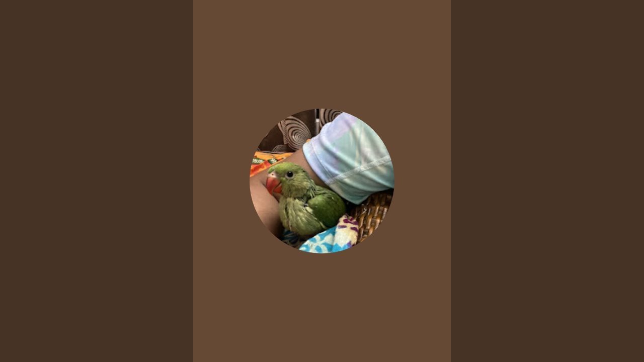 furku family  is live