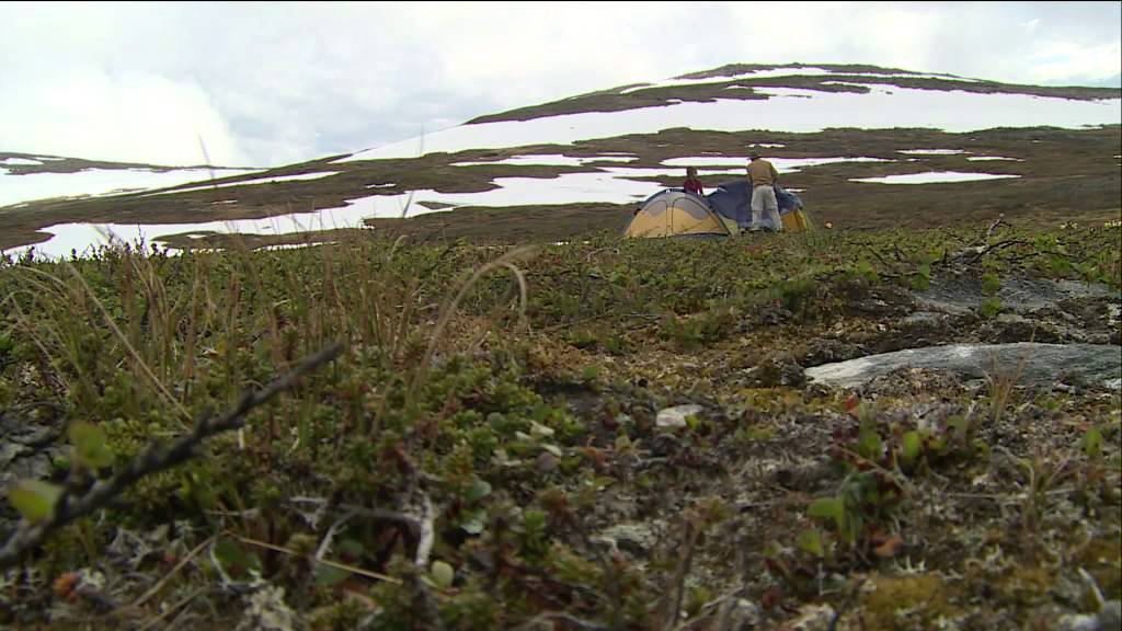 Svenska P&auml;rlor - resa till europas st&ouml;rsta naturreservat med Christer Fuglesang - Nyhetsmorgon (TV4)
