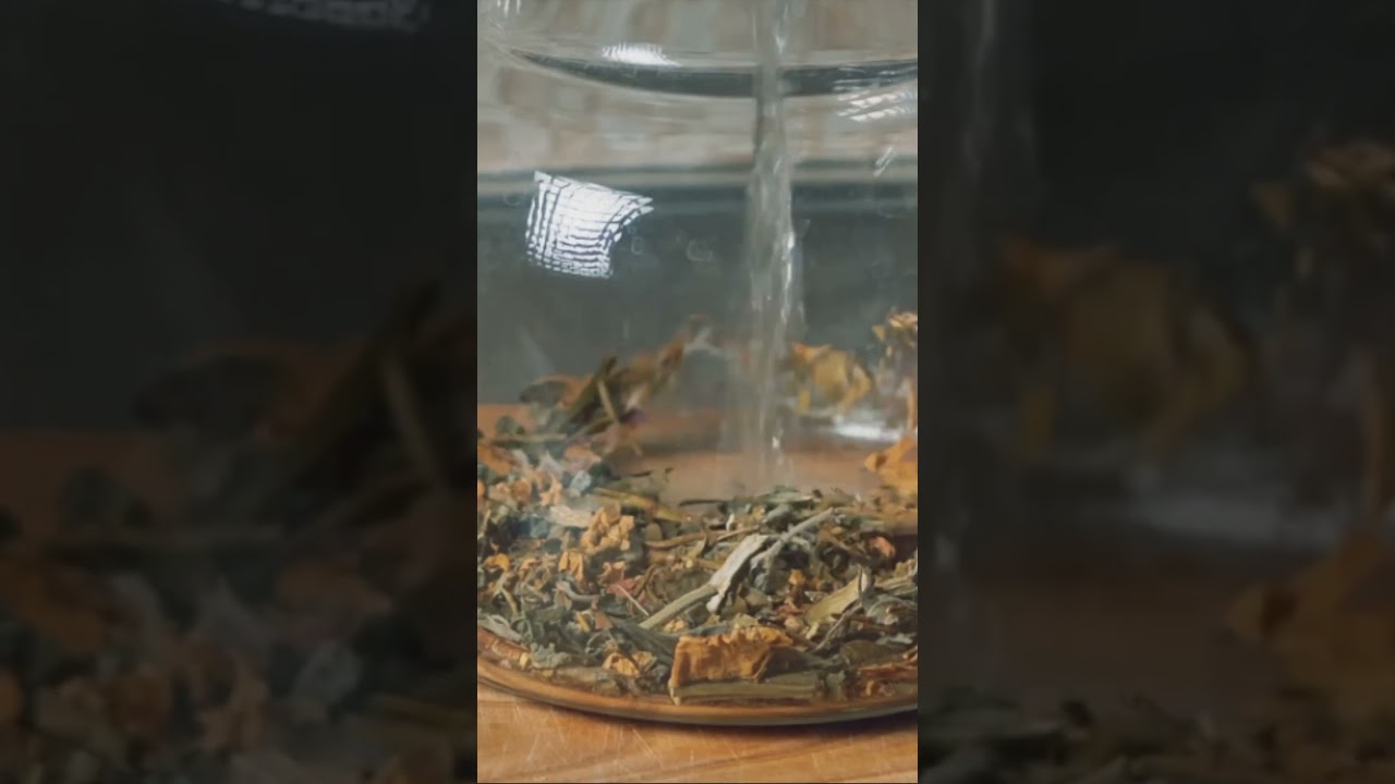 DIY Natural Insect Repellents for Plants: The Power of Basil!