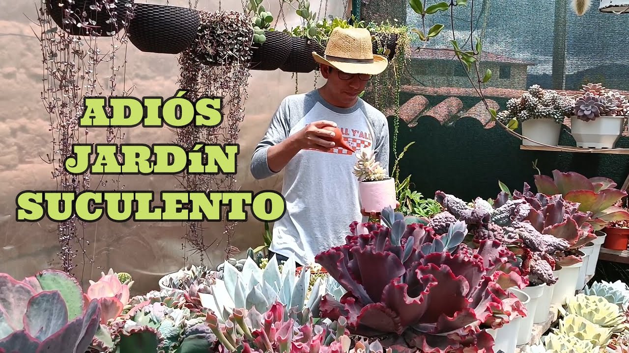 DESPEDIDA SUCULENTA tenemos que dejar el jardín #suculentas