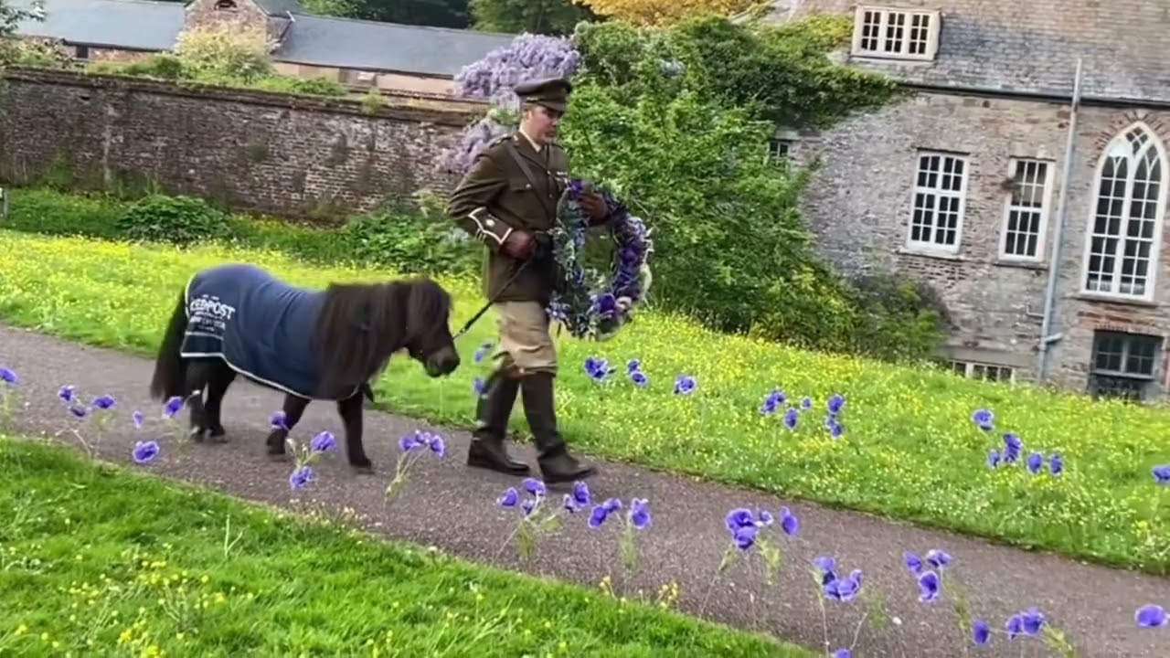 Lest We Forget 💜❤️