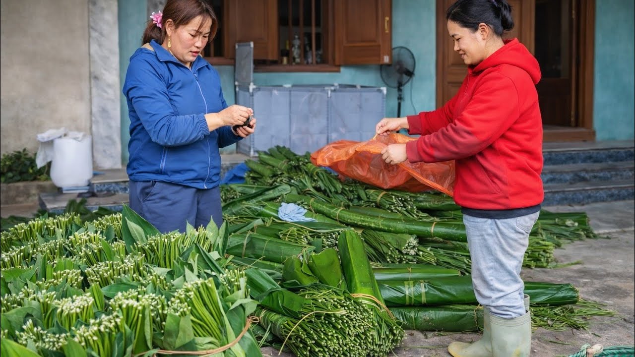 New Life Single Mother Buildes Wooden House Alone & Harvests Dong Leaves to 