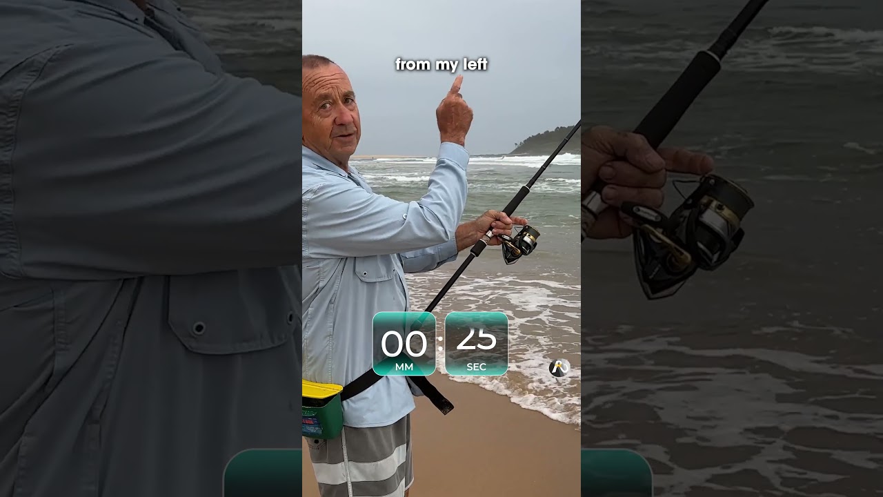 Learn how to read the beach = FIND the FISH!