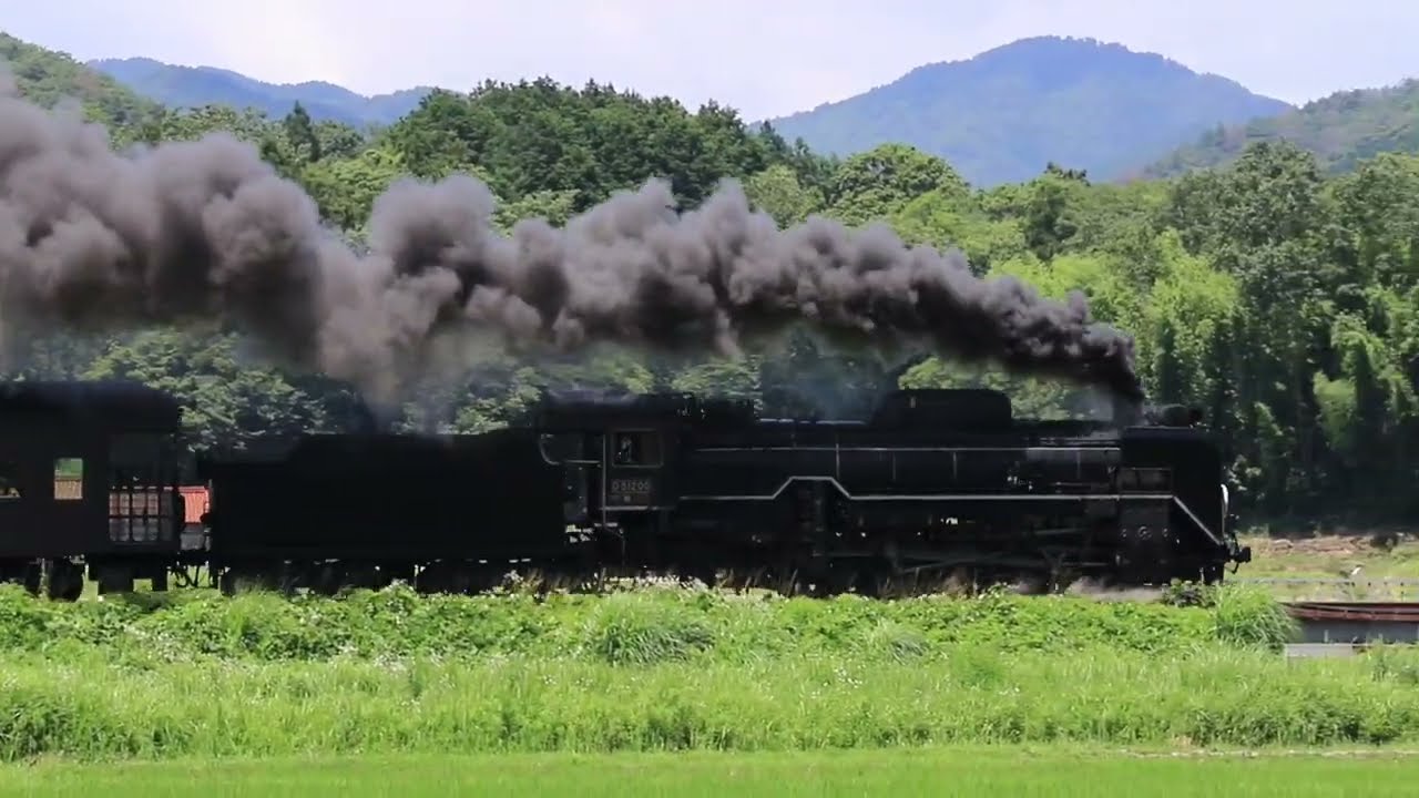 梅雨明けした初夏の山口線の往路を津和野駅までSLやまぐち号に密着しました。#slやまぐち号 #山口線 #steamlocomotive #蒸気機関車#鉄道動画