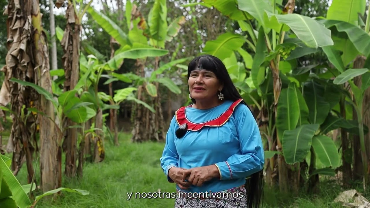 #HistoriasDeProyectos | Arte y ancestralidad shipiba