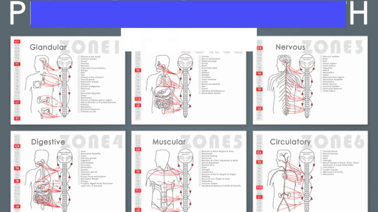 Redwood City Chiropractor