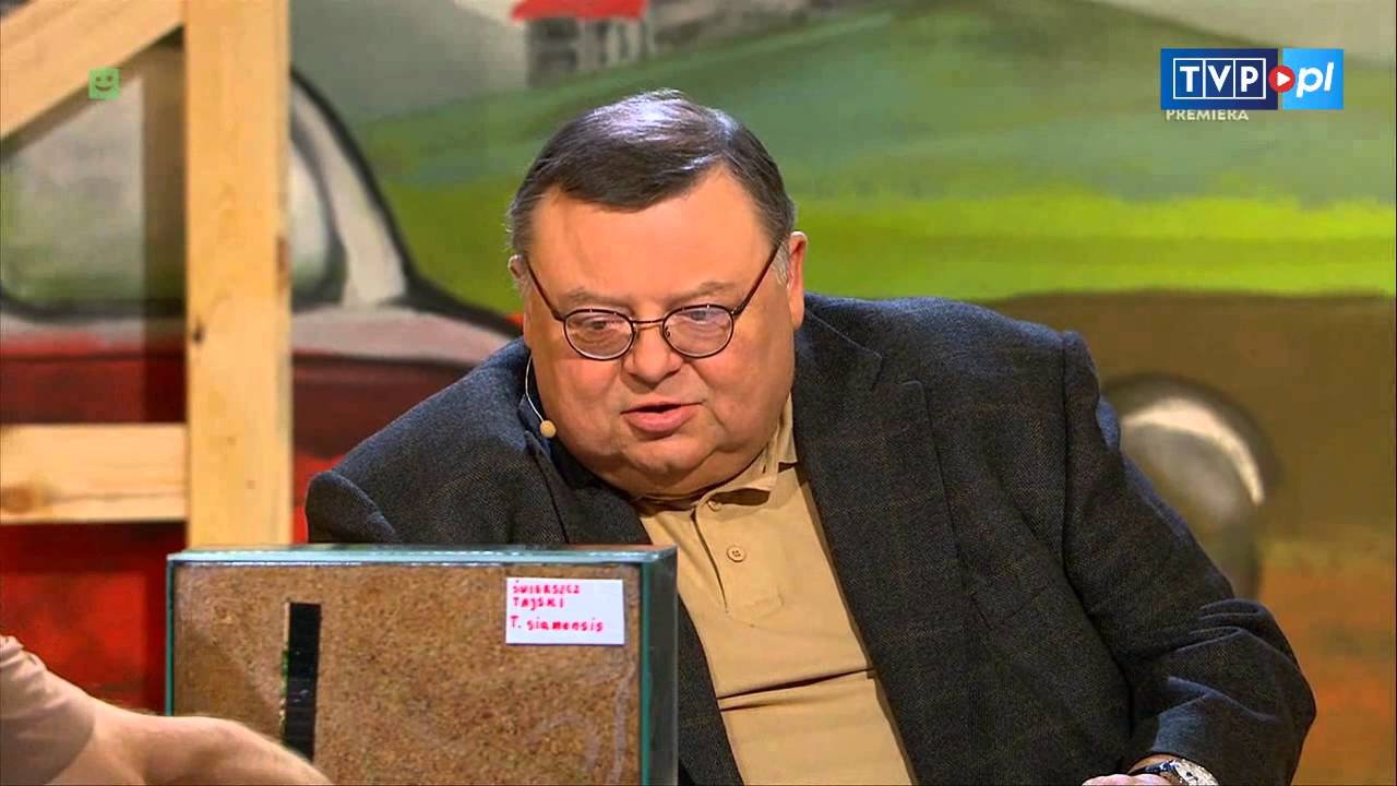 „Kocham to, co lubię