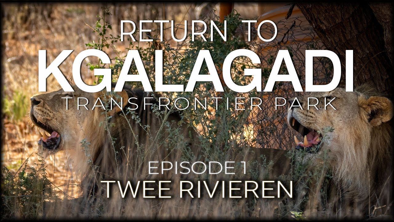 RETURN TO THE KGALAGADI - Episode 1 - Twee Rivieren