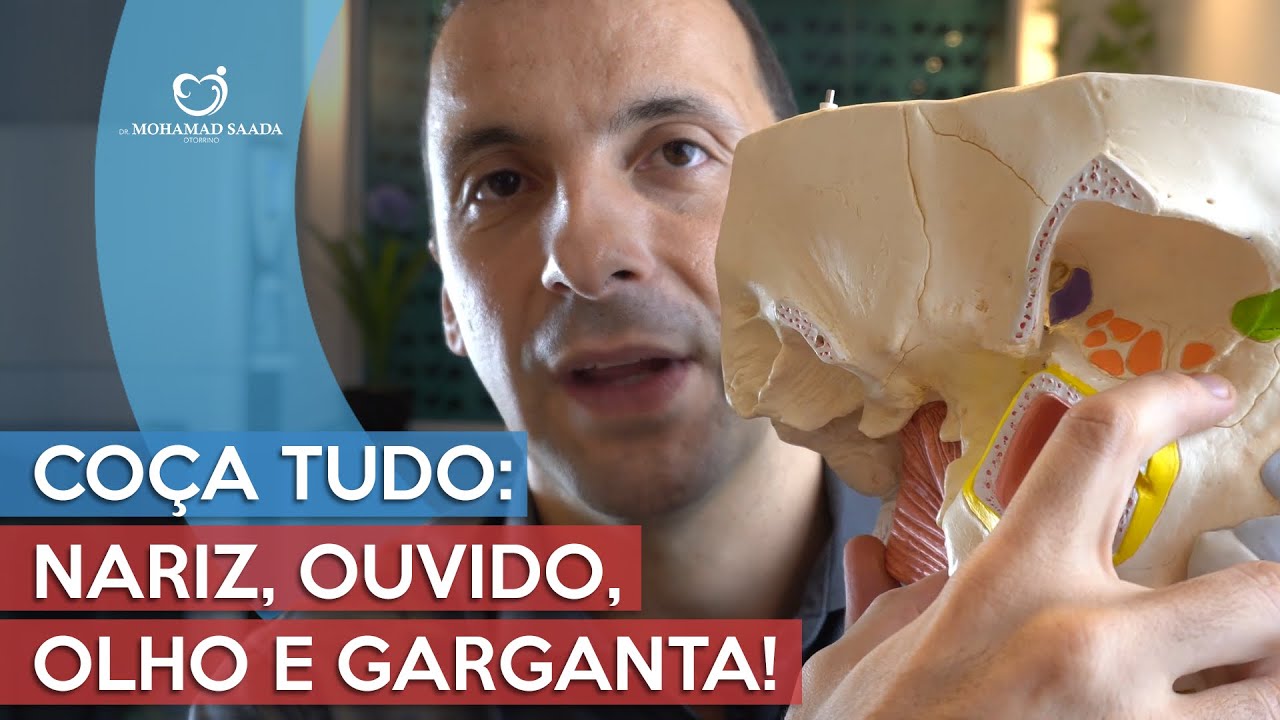 Co&ccedil;a Olho, Nariz, Garganta e Ouvido. Tudo incomoda e nada resolve. Saibe o que fazer