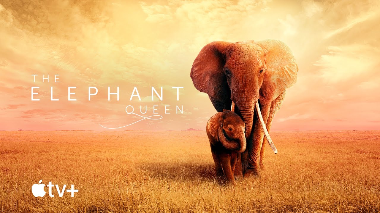 The Elephant Queen &mdash; Official Movie Trailer | Apple TV