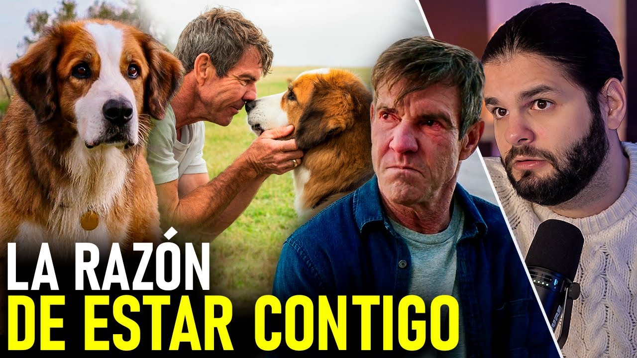El PROPÓSITO de los PERROS en nuestra VIDA  | La Razón de Estar Contigo | Relato y Reflexiones