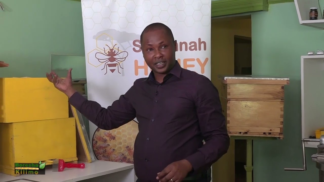BORESHA KILIMO  SAVANNAH HONEY  MODERN DAY BEE KEEPING PART 1