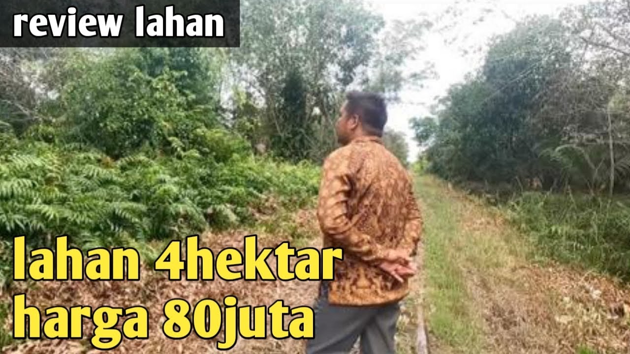 Review lahan 4hektar ada rumah dan tanaman karet