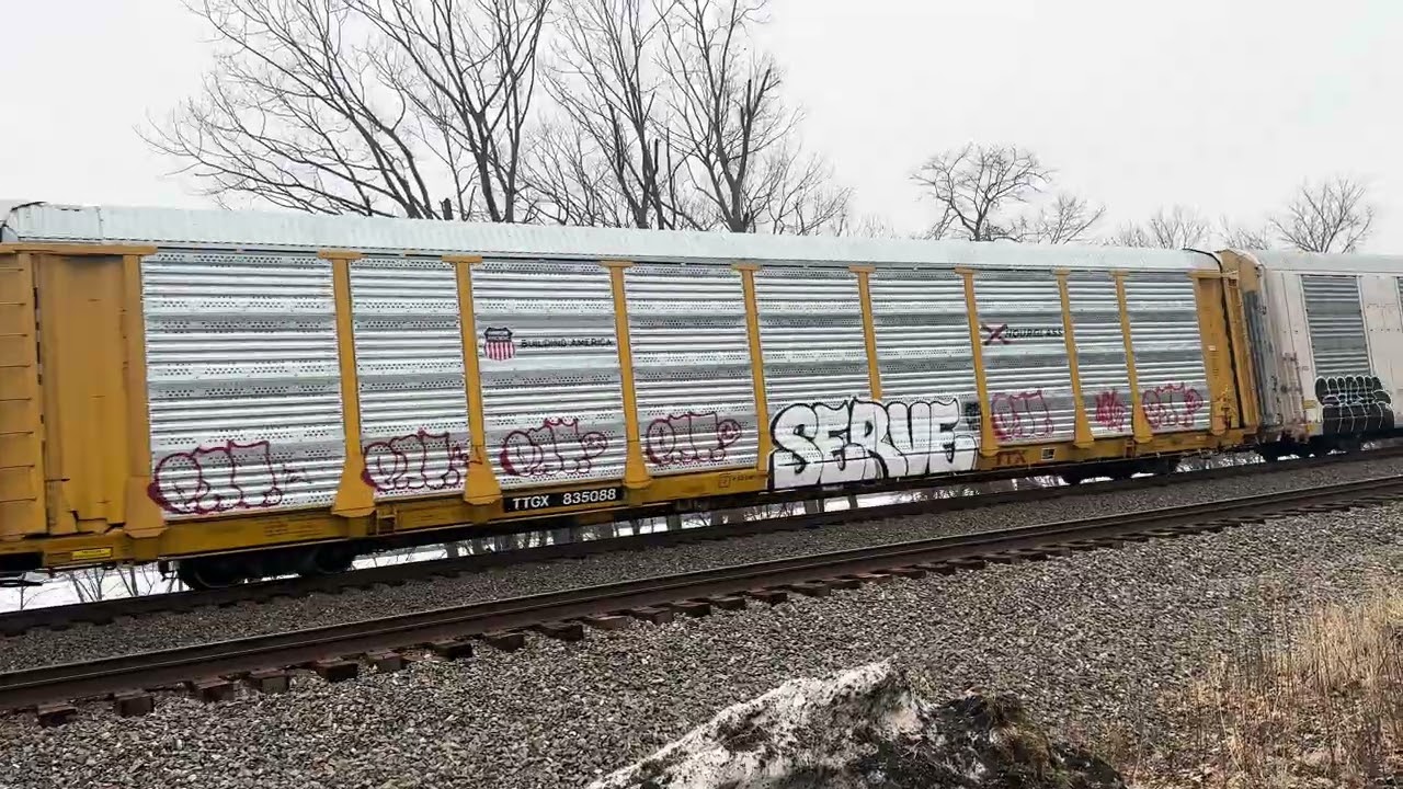 NS 11N clears Cove