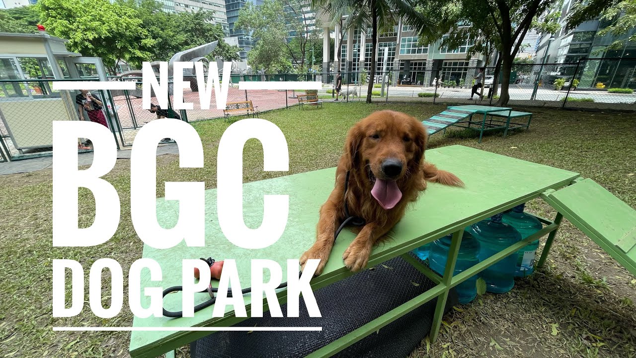 The New BGC Dog Park