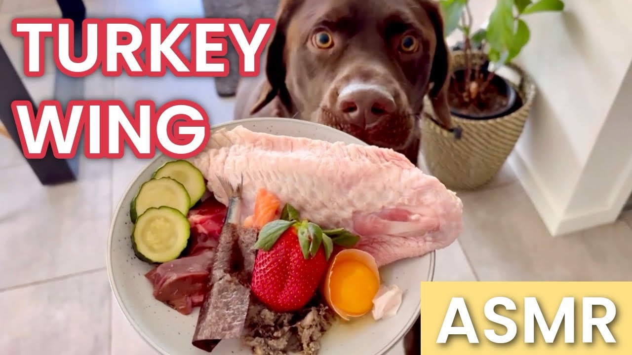 Eat Breakfast With Bear | Turkey Wing and Hand Roll Dog Mukbang ASMR