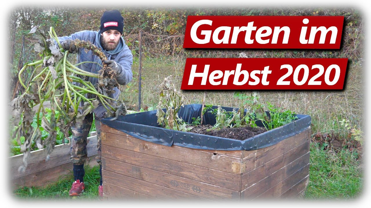GARTENARBEIT NOVEMBER | Hochbeet winterfest abräumen, Pilz Beet neu anlegen, Wühlmäuse