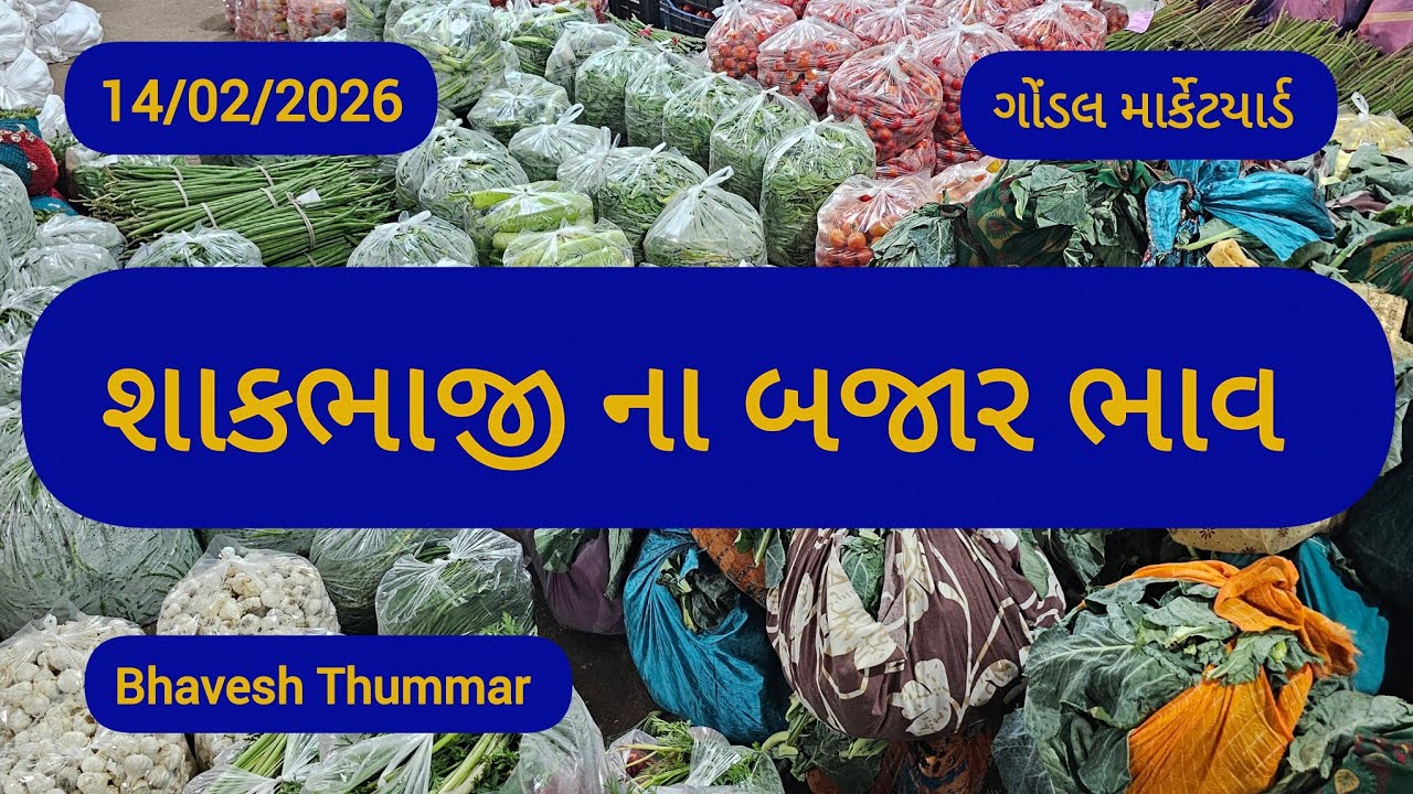 આજ ના શાકભાજી ના બજાર ભાવ l 14/02/2026 l ગોંડલ માર્કેટયાર્ડ  l Bhavesh Thummar l Gondal #trending 