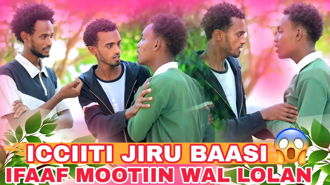 🛑ICCIITI OBSEERATI MOOTIIF IFAAN WAL LOLAN