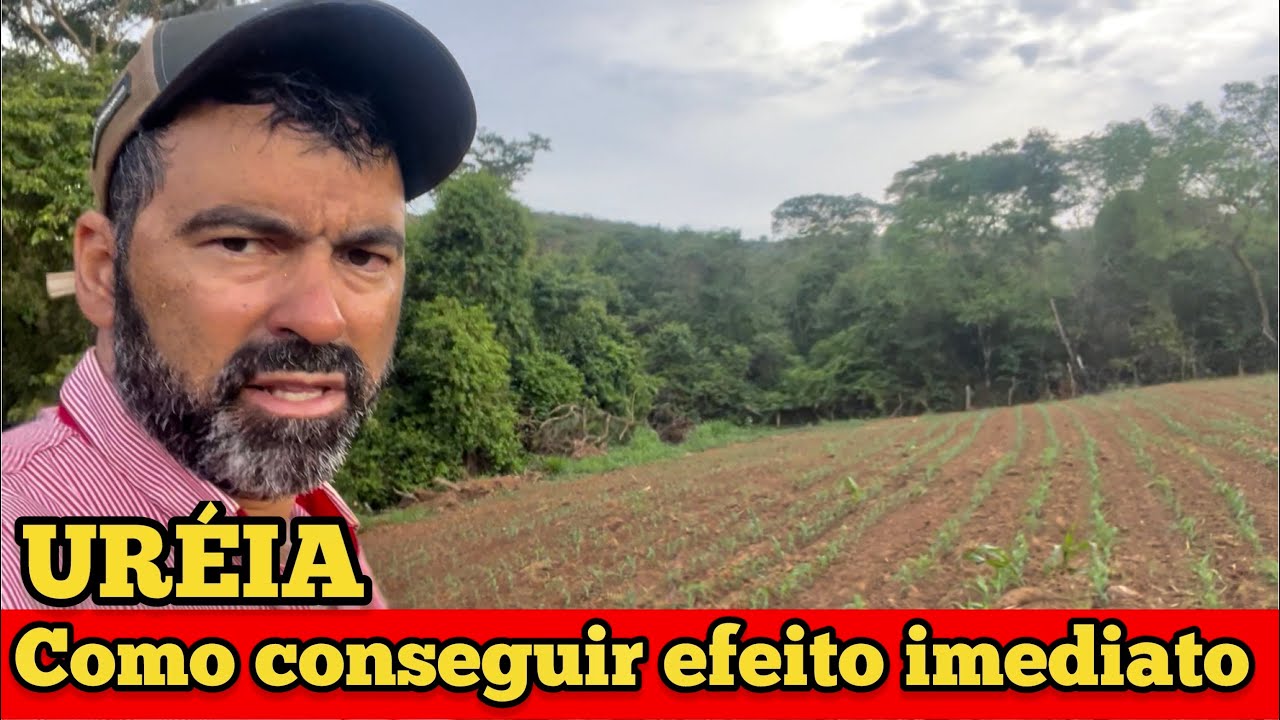 ASSIM VOCÊ APROVEITA 100% DA UREIA