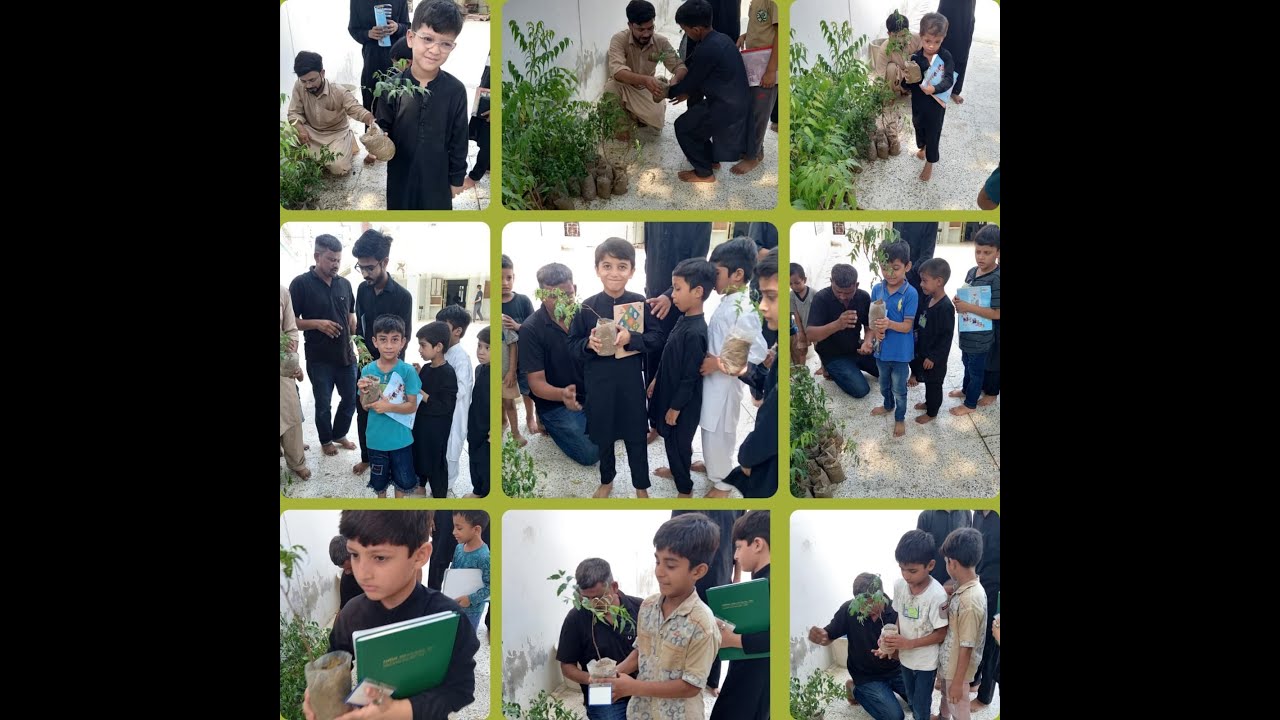 Interview Plantation 2025