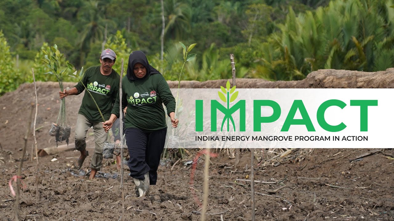 Indika Energy Mangrove Program in Action (IMPACT) 2023-2025