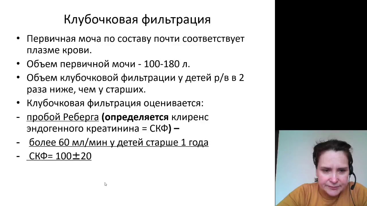 Пропедевтика детских болезней. АФО мочевыделительной системы и почек