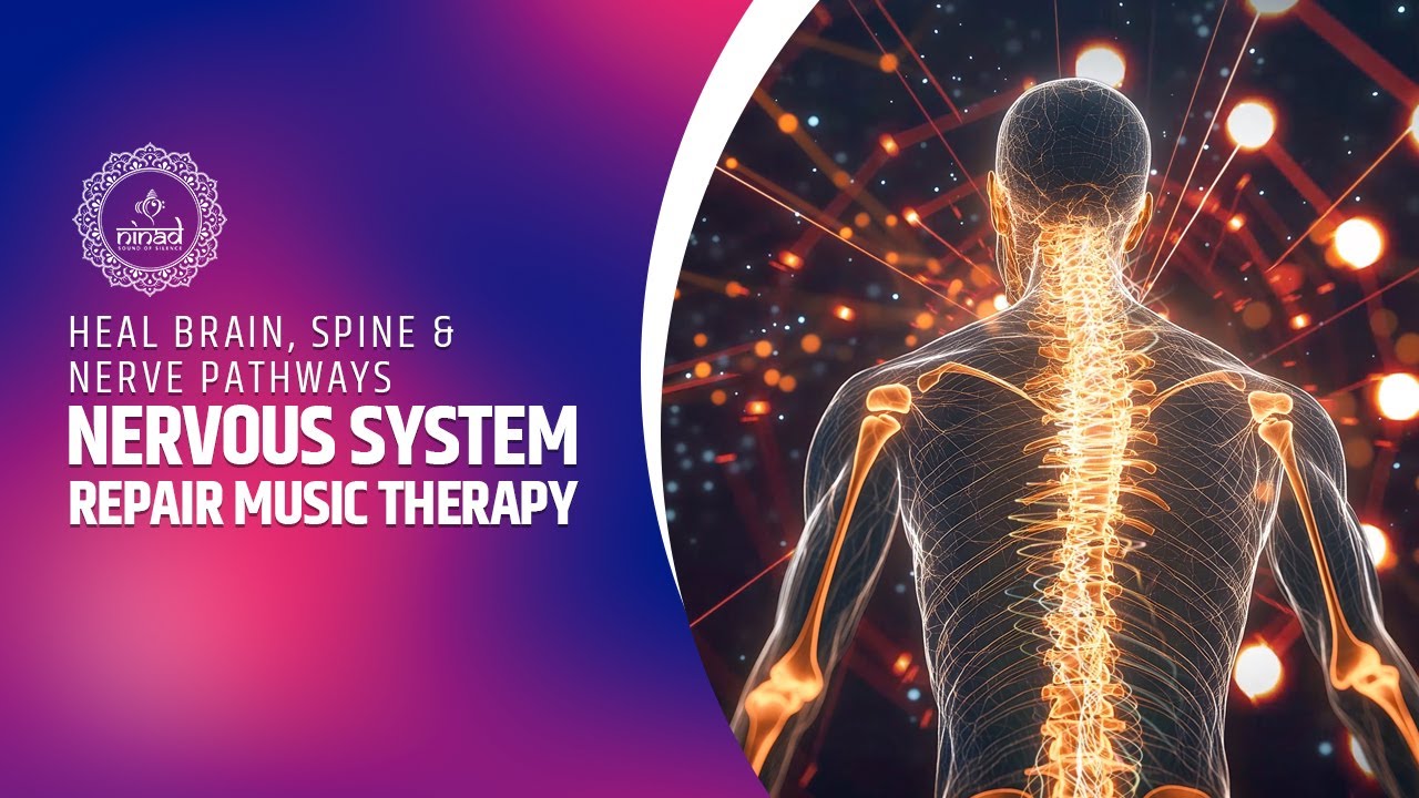 Nervous System Repair Music Therapy - Heal Brain, Spine & Nerve Pathways - Relaxation Frequencies