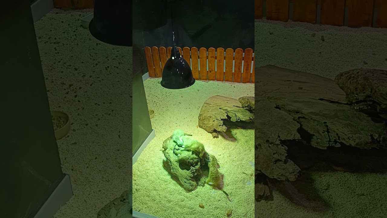Aquarium in Phuket Thailand (Aquaria phuket) | Biggest aquarium in Thailand
