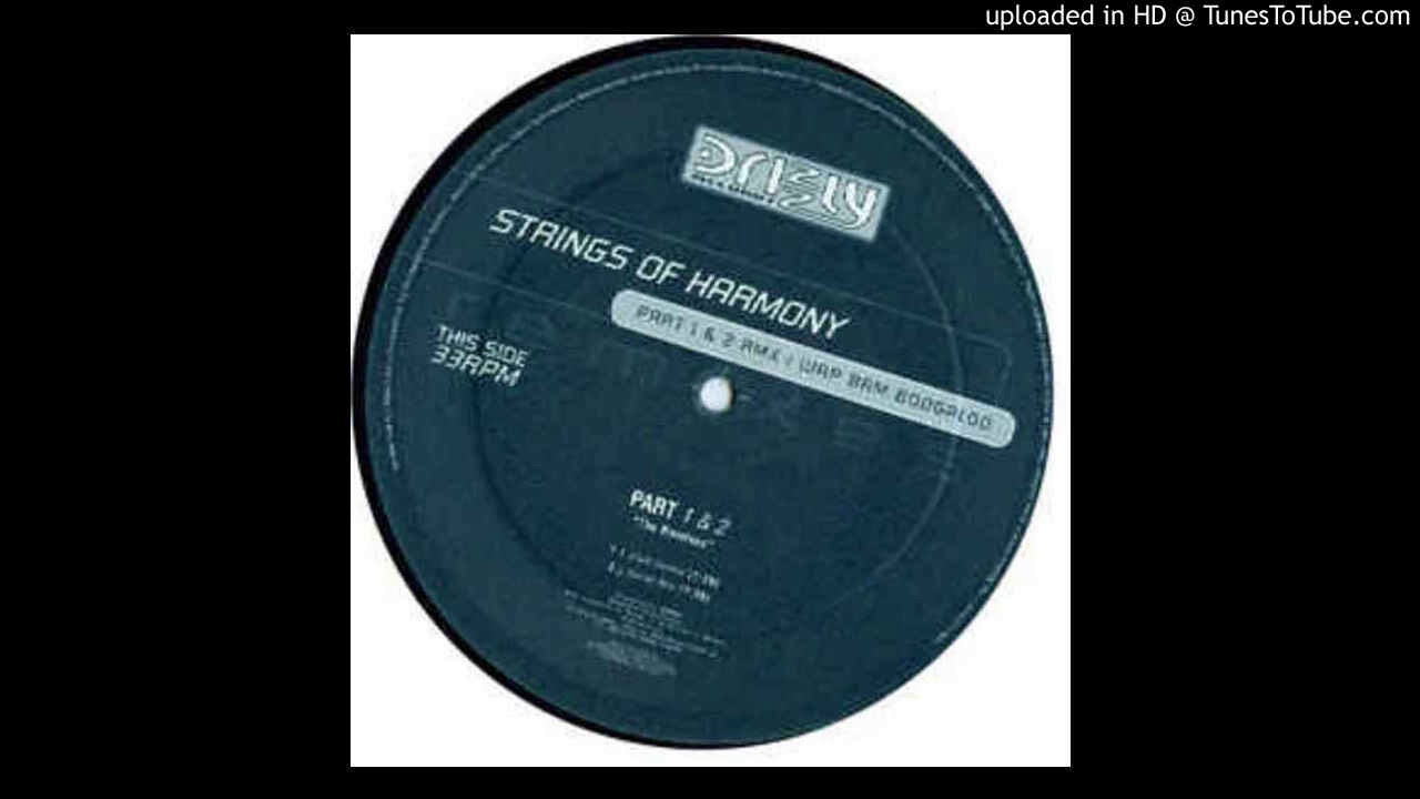 Strings Of Harmony &mdash; Wam Bam Boogaloo (Cooky's Extended Mix)