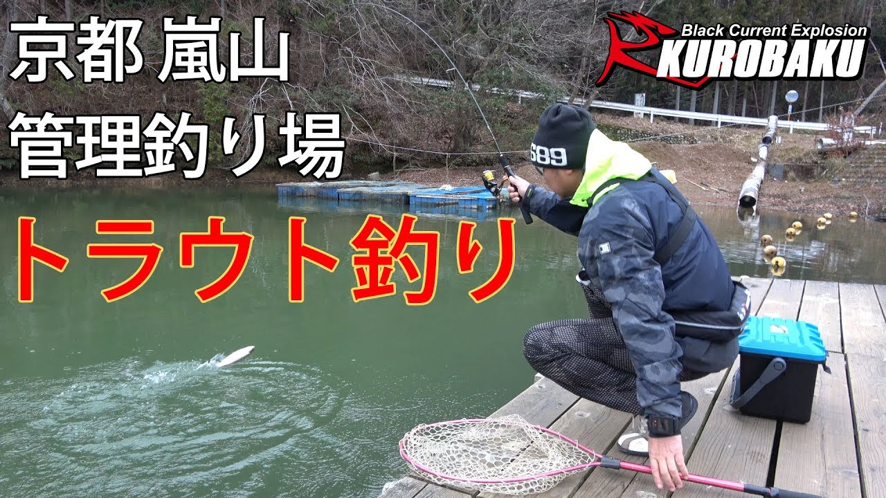 トラウト釣り 京都 嵐山 Rainbow trout fishing