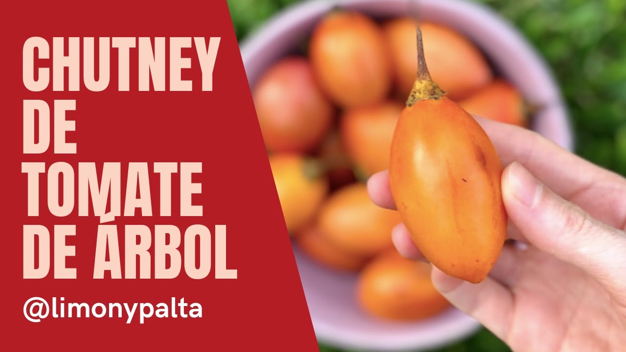 RECETA DE CHUTNEY DE TOMATE DE ÁRBOL O TAMARILLO