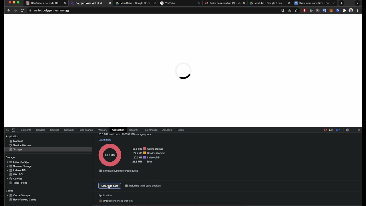 Polygon is still crashing -  How to fix empty wallet loading