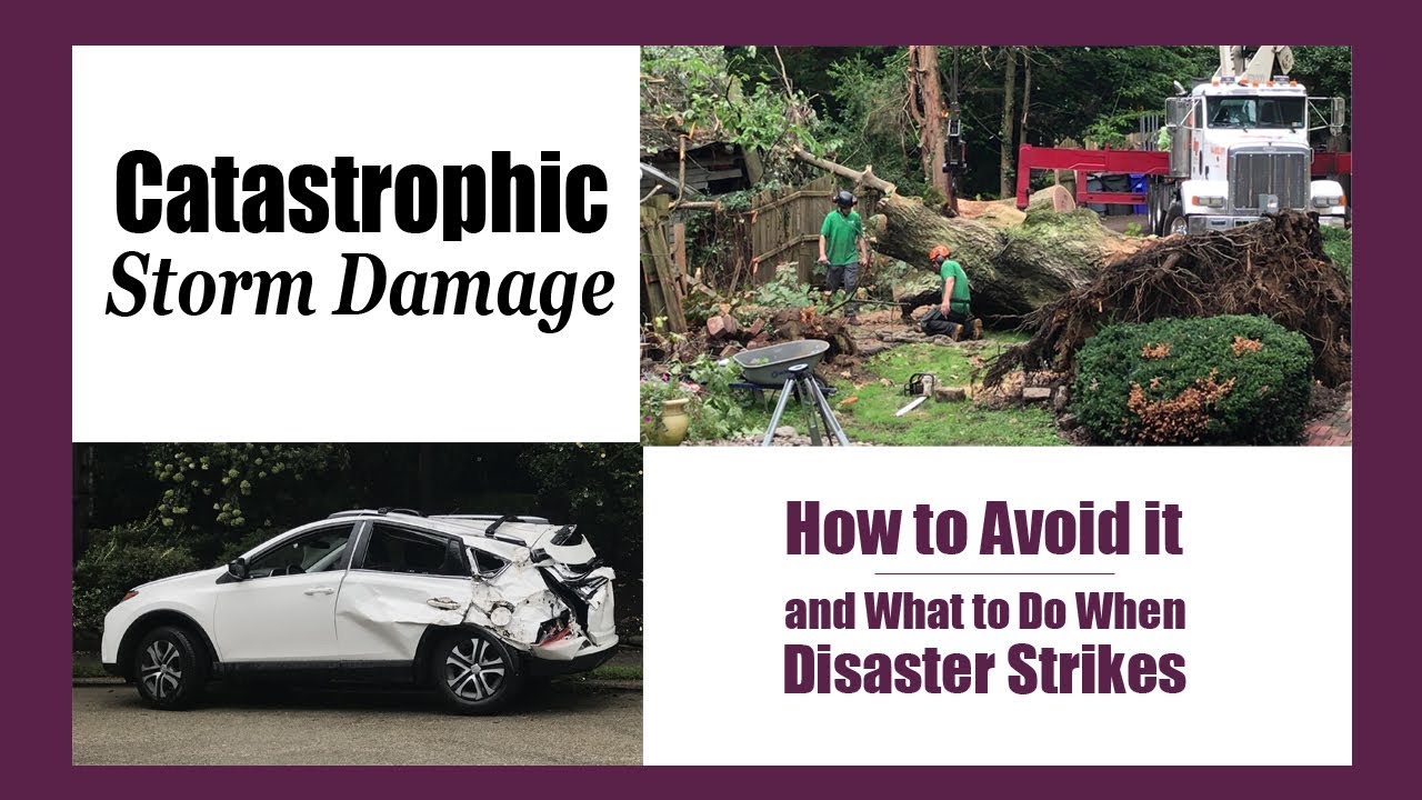 Catastrophic Storm Damage in Elkins Park, PA!