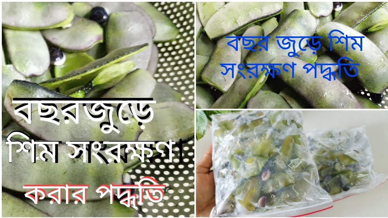 কালার ও স্বাদ ঠিক রেখে বছর জুড়ে সিন সংরক্ষণ।শিম সংরক্ষণShim Songrokkhon.How to preserve Flat Beans