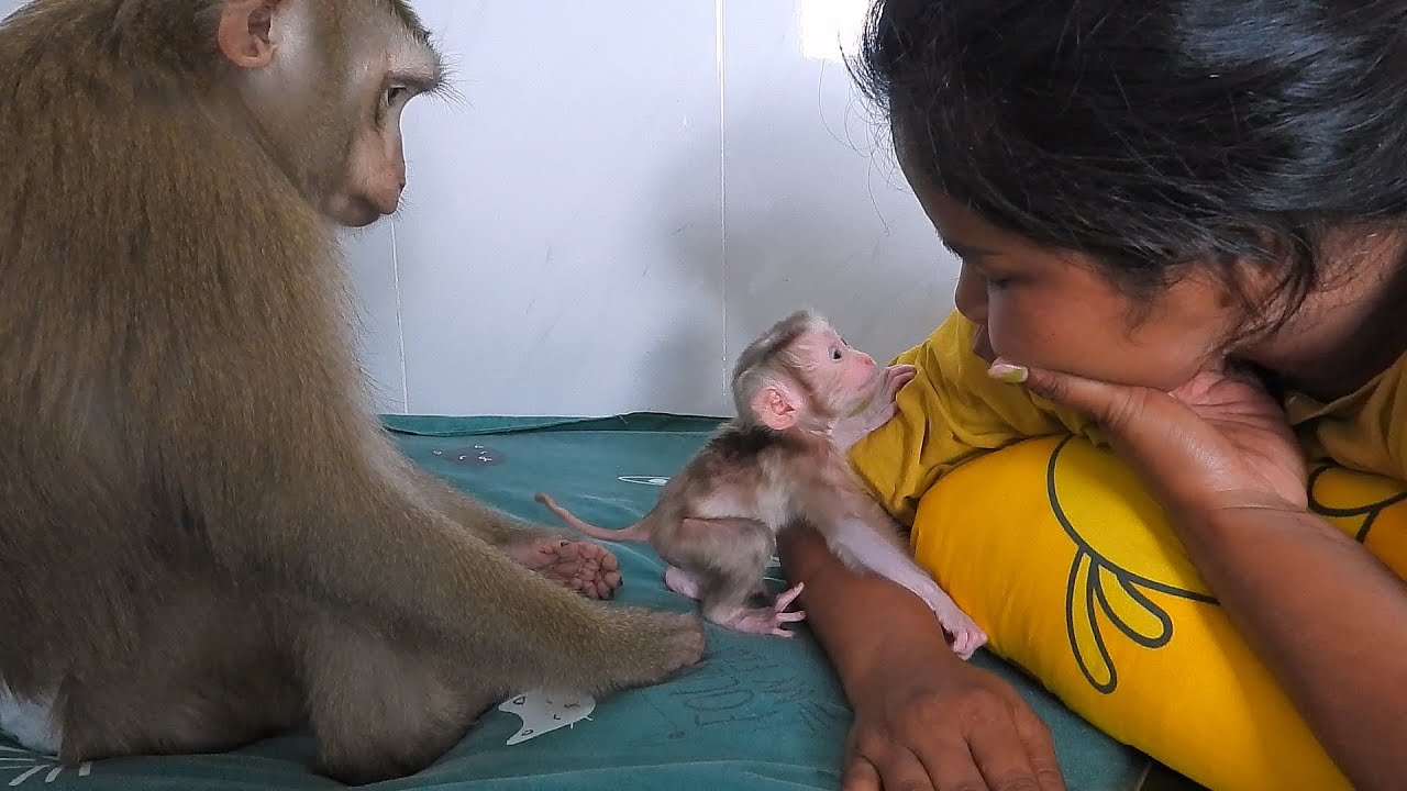 Cute Newborn Baby Walking To Climb Grandma