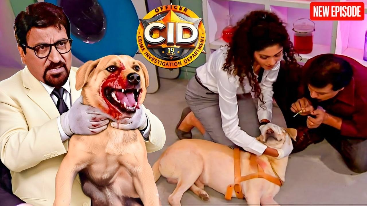 Dr. Saluke ने आदमखोर कुत्ते का किया इलाज, बची कई जिंदगियां! CID || Latest Episode 2026||