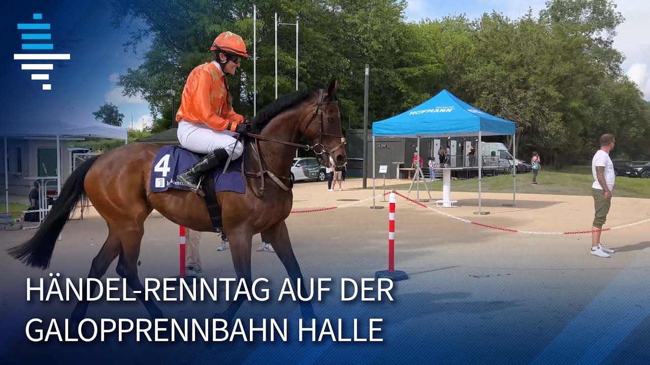 Aufgalopp 2024 auf der Pferderennbahn Halle (Saale)