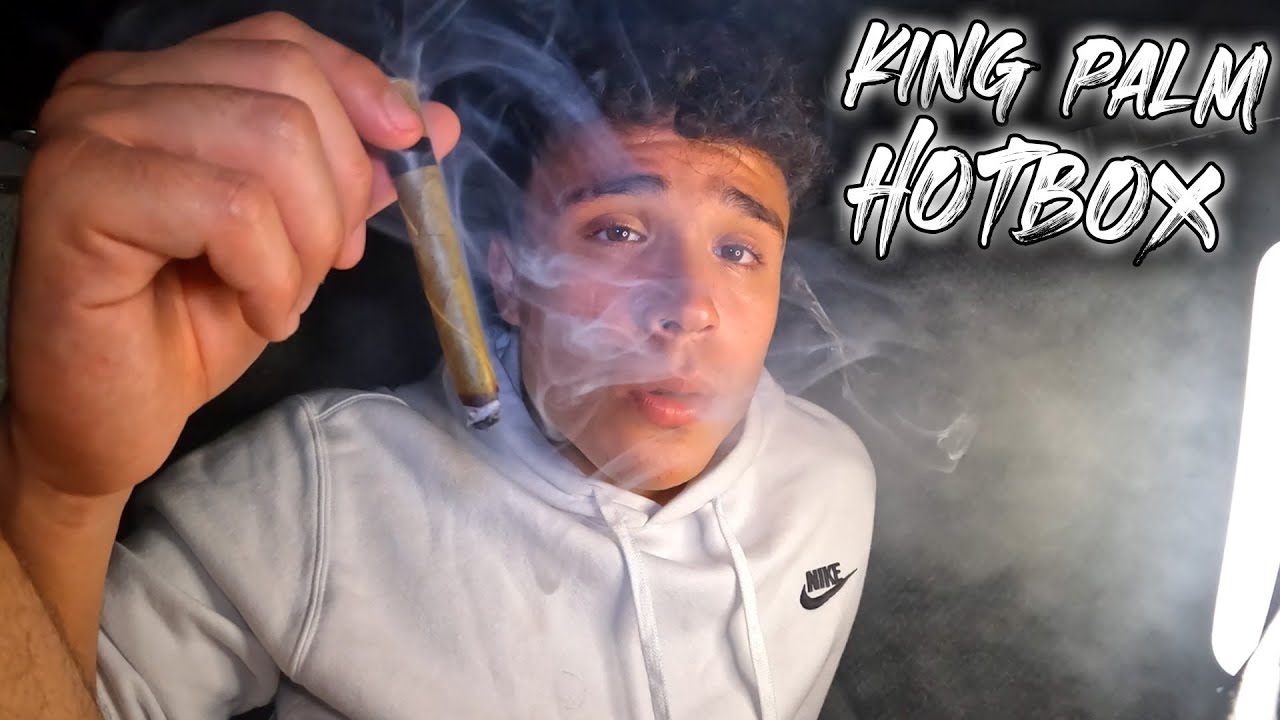 HOTBOXING A 2 GRAM KING PALM