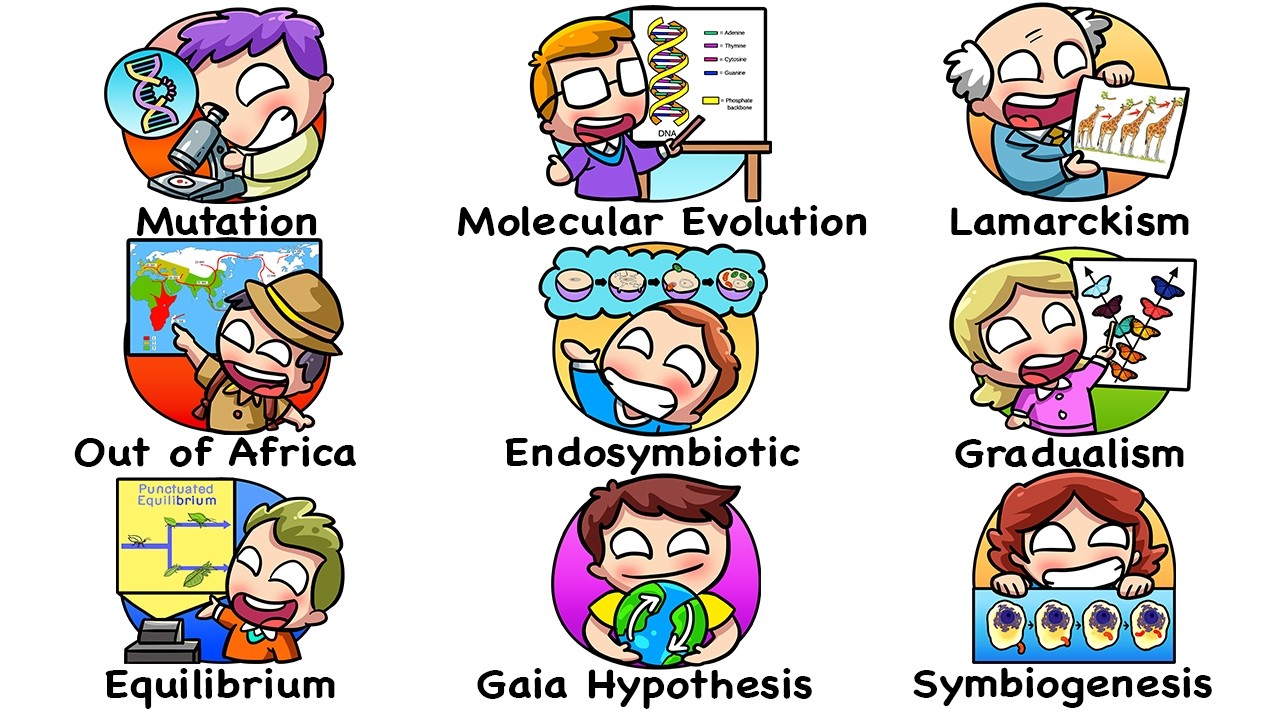 Every World Evolution Theory Explained in 17 Minutes