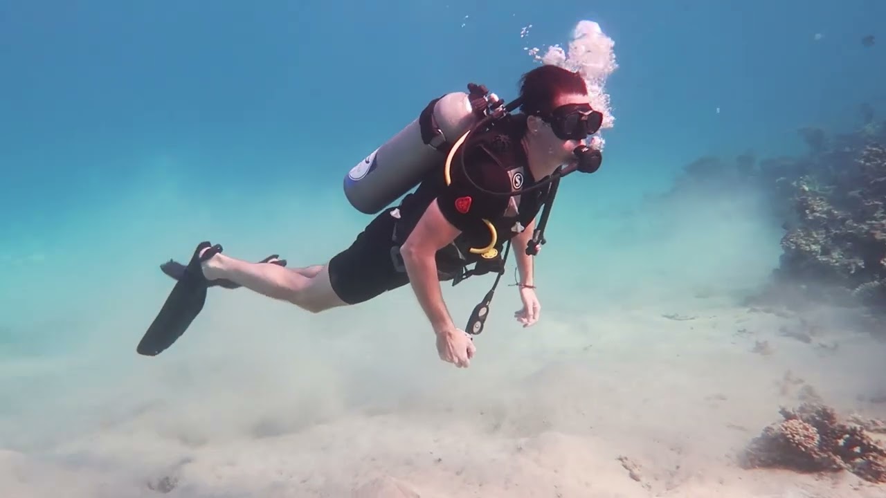 Plongée Egypte